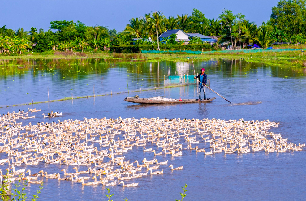 La province Hau Giang - Delta du Mékong Sud Vietnam